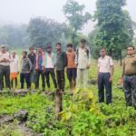 वन विभाग कवर्धा द्वारा अवैध चराई पर कार्यवाही