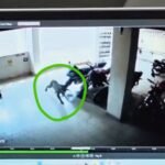 तेंदुआ घुसने से स्नेहा क्लिनिक में अफरा तफरी का माहौल, पुलिस और वन विभाग का रेस्क्यू ऑपरेशन जारी